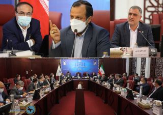 دلایل متصل نشدن صنعت بیمه به سامانه نیروی انتظامی و پلیس / مقصر کیست؟ شرکت‌های بیمه یا دولت؟