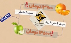در جست و جوی پرتقال فروش + ویدئو